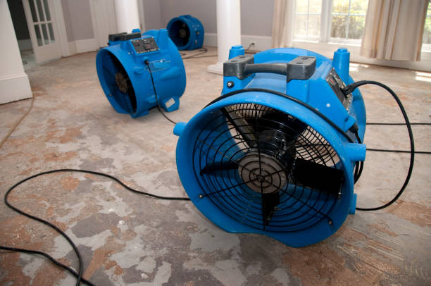 Best Sewage cleanup and water damage restoration  in Grover, WY