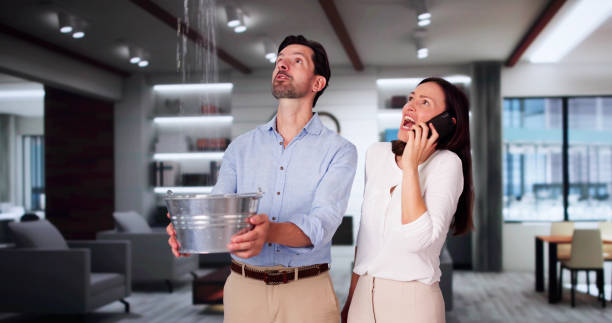 Best Local water damage restoration  in Grover, WY